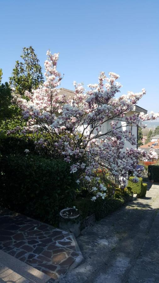 Nel Giardino Di Oz Bed & Breakfast Fornovo di Taro Dış mekan fotoğraf